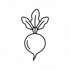 Line drawing of a turnip with leaves 