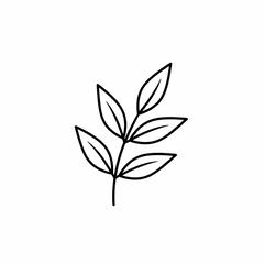 Black line drawing of a leaf 