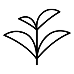 Black line drawing of a stylized plant